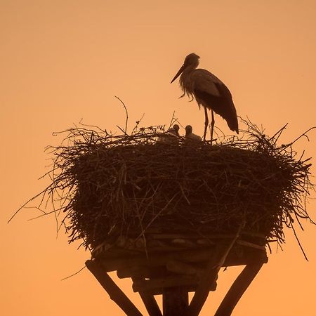 Agroturystyka Dolina23 Villa Piaski Esterno foto
